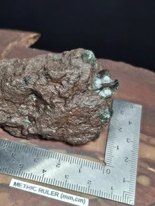 Loaded Greenstone Specimen Isle Royale Michigan Raw Chlorastrolite Matrix Basalt - Picture 1 of 8