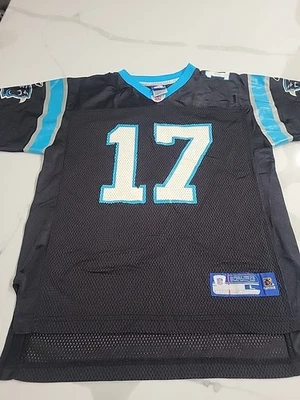 Camiseta deportiva unisex vintage Carolina Panthers Jake Delhomme Reebok talla juvenil grande Foto 1 de 4