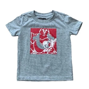 True Religion Gray Logo Short Sleeve T Shirt Youth Boys Size 5 Crew Neck - Picture 1 of 8