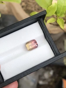 3.72Cts Beautiful Bicolour Tourmaline Dimension 9.78x7.66x5.95 - Picture 1 of 4
