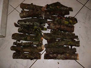 Holz,Apfelbaum,Aststücke,Bastelholz, Natur, Floristik, Basteln 800g Packung - Bild 1 von 4