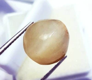 100 % natürliches Katzenauge 14,25 ct lose Edelstein ovale Form mit Zertifikat - Bild 1 von 6