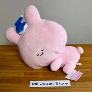 Asamimi-chan sleeping together Big Plush Doll 35cm Nesoberi APINA Limited RARE - Picture 1 of 7
