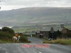 PHOTO  CLIPPETY - CLOP AMBLING DOWN RAW PASTURE BANK ON HORSEBACK WITH A GLINT O