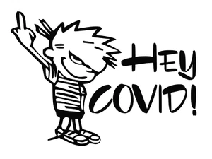 Hey C0VID  Flip Off C0VID  Virus Humor Vinyl Decal 43 different colors available - Imagen 1 de 46