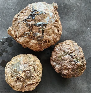 Huevo de trueno sin cortar de 5,2 libras (2,39 kg), geoda sin abrir, huevo de trueno de ágata - Imagen 1 de 15