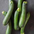 Black Beauty Zucchini - Seeds - Organic - Non Gmo - Heirloom Seeds