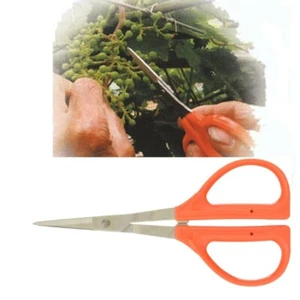 CHIKAMASA Professional Gardening Stainless Steel Grape Scissors 5.9 inch B-300S - Picture 1 of 6