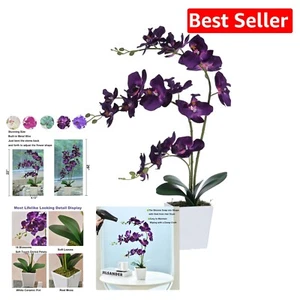 No-Fade Dark Purple Silk Orchid Arrangement with Real Moss - Elegant Gift Idea - Picture 1 of 9