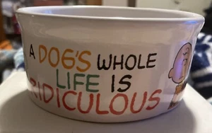 Peanuts Snoopy Pet Food Water Bowl Dogs Whole Life is Ridiculous 4.5" x 2" - Picture 1 of 6
