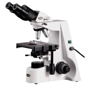 Microscopio compuesto binocular AmScope 40X-2000X con iluminación halógena Kohler - Imagen 1 de 8
