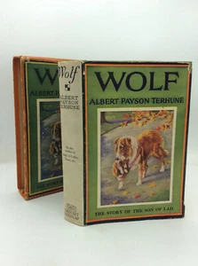 WOLF - Albert Payson Terhune - Rare true 1925 printing in dustjacket and box! - Picture 1 of 9