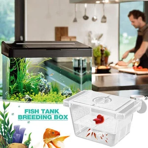 Acrylic Fish Breeding Isolation Box Betta Fish Aquarium Breeder Fish Tank Hatch - Picture 1 of 15