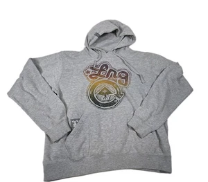 Felpa con cappuccio Lifted Research Group LRG uomo L grigio Y2K XLarge L-R-G vintage - Foto 1 di 6