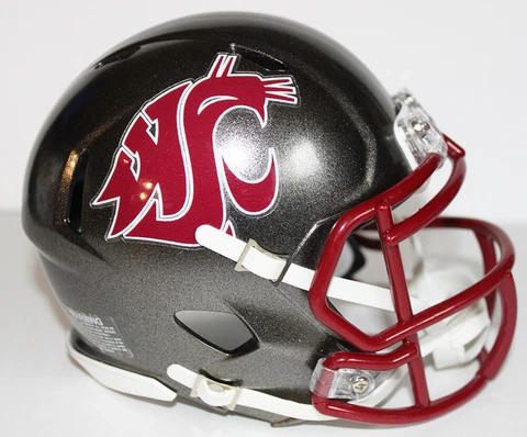 2016 Washington State Cougars Custom Riddell Mini Helmet vs Oregon Cover