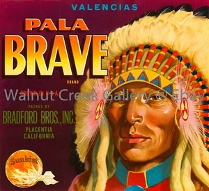 California Citrus Crate Label Fine Art Print, Native , approx 10.8x11.8" 12764 - Picture 1 of 1