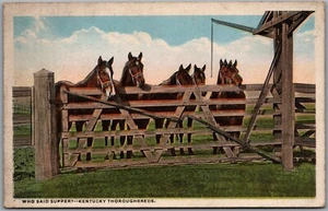 Postcard Kentucky Thoroughbreds "Who Said Supper?" Horses Ranch Scene by Knight - Picture 1 of 2