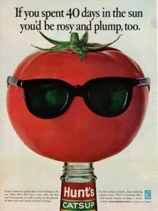 Vintage advertising print Food HUNT'S Catsup Tomato Sunglasses 40 days in Sun 67 - Picture 1 of 1