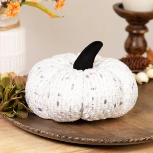Northlight 7.5" White Knitted Fall Harvest Tabletop Pumpkin - Picture 1 of 7