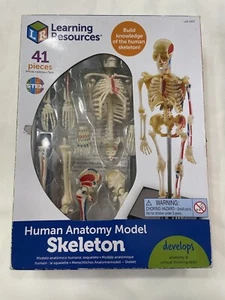 Learning Resources STEM Human Anatomy Skeleton 9.2" Tall Realistic Model ~ 41 Pc - Picture 1 of 4