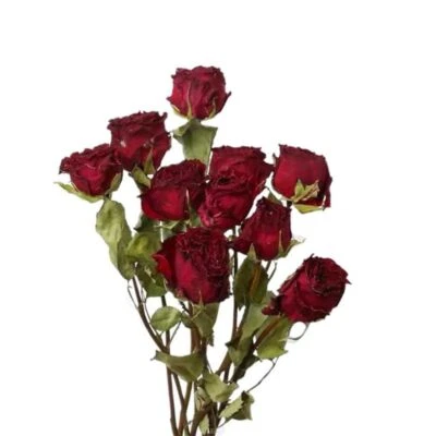 TOOGET Natural Dried Flowers Bouquet, 10 Pcs Red Dried Roses Bouquet for Decoration