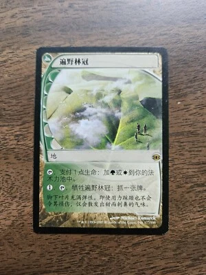 Horizon Canopy (FUT) Chinese ZHS MP - Image 1 of 2