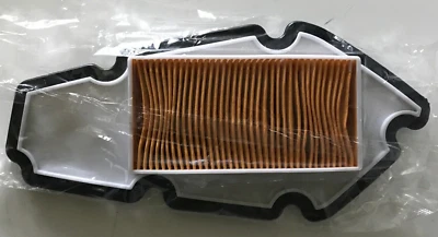 AIR INTAKE CLEANER FILTER ELEMENT CARTRIDGE: QUADZILLA PGO BUGRIDER BR250 BUGGY. - Image 1 of 4