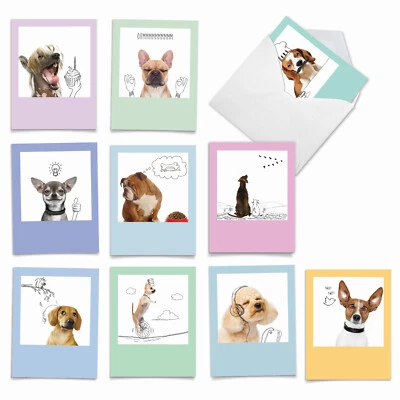 10 Thank You Note Cards - DOGS & DOODLES M6582TYG - Imagem 1 de 4