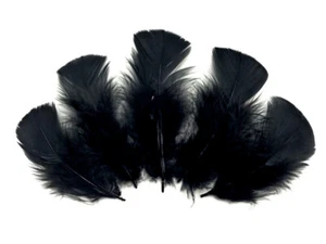 1/4 Pfund Schwarze Türkei T-Base Großhandel flache Federn Großpackung Halloween Hochzeit Handwerk - Bild 1 von 10