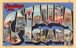 Catalina Island (California) Greetings From Large Letter Linen 5A-H876 Postcard - Picture 1 of 2