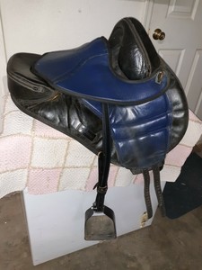 Torsion Treeless Saddle