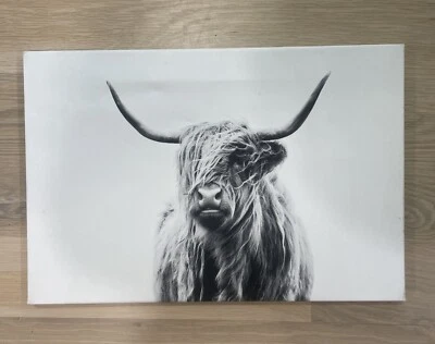 Highland Cow Black And White Photo On 12*18 Canvas - Image 1 of 2