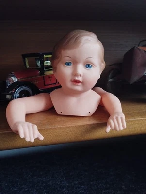 Testa e braccia bambola Petitcollin 1930-1940 condizioni perfette - Immagine 1 di 4