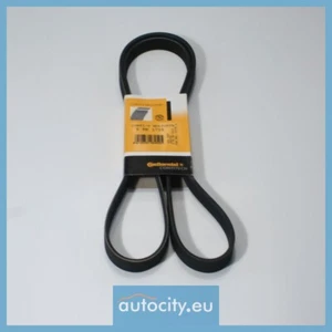 ContiTech 6PK1755 Courroie trapezoidale a nervures - Photo 1/2
