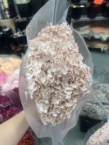 Annabelle Hydrangea Grey pink Gift Wedding Festive Bouquet Flower Floral Decor - Bild 1 von 1