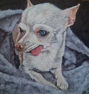 Original Pet/ Dog Animal Portraits From Your Photo Made To Order Oil Paintings - Picture 1 of 6