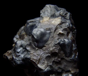 FRANKLINITE raro espécimen TIPO LOCALIDAD ----- EE. UU. Nueva Jersey - Franklin /pl927 - Imagen 1 de 11