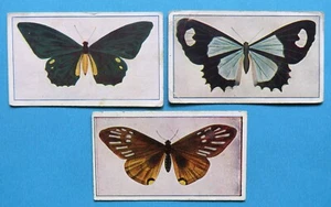 c1910 Sniders & Abrahams Vintage Tobacco Cards: BUTTERFLIES & MOTHS x 3 - Picture 1 of 2