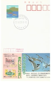 Japan ECHO ad card 6-25-97 Bifidus mushroom extract to clear the belly pharmacy - Picture 1 of 1