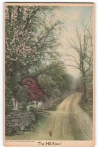 The Hill Road, Fac-Simile Hand Colored Nature Cards VTG Postcard SK2. - Picture 1 of 2