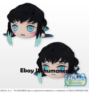 2PCS Demon Slayer Tokitou Muichirou Plush Doll Stuffed Toy（Two Expressions） - Picture 1 of 5