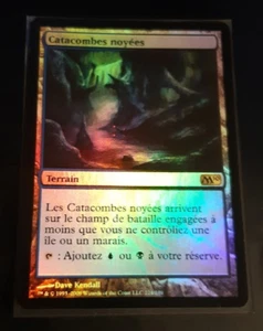 FOIL Drowned Catacomb (French, good quality, M10) - Picture 1 of 3