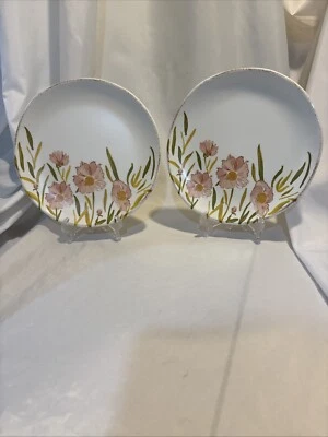 Umbral Melamina Rosa Floral Primavera Pascua 8.75" Platos de Ensalada - Juego de 2 Foto 1 de 4