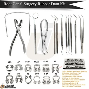 Kit de colocación de presas de goma dental instrumentos endodónticos de relleno dental restauradores - Imagen 1 de 15