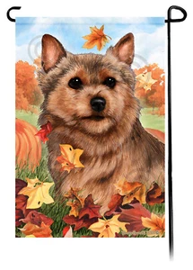 Bandiera da giardino con foglie cadenti - Grizzle Norwich Terrier - Foto 1 di 1