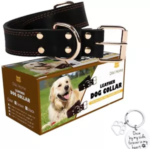 Collar para perro | Cuero | Para caminar y entrenar | Negro | Cuello XS 14-18” | NUEVO - Imagen 1 de 5