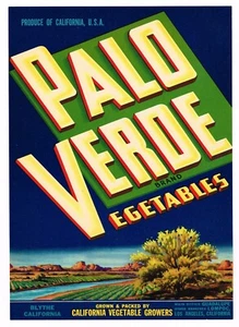 CRATE LABEL VINTAGE 1951 FILE 7X9 PALO VERDE LOMPOC BLYTHE CALIFORNIA DESERT - Picture 1 of 1