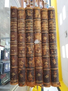 1885 Animate Creation Complete 6 Vol. Book Set Rev. J.G. Wood Antique Used - Imagen 1 de 12