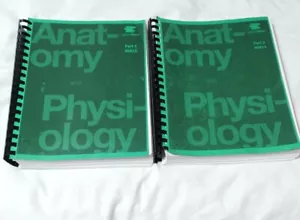 Anatomie und Physiologie #6813 Teile 1 und 2 OpenStax Lernset - Bild 1 von 5