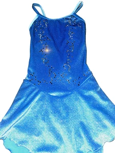 Custom Figure Skating Dress - Picture 1 of 6
